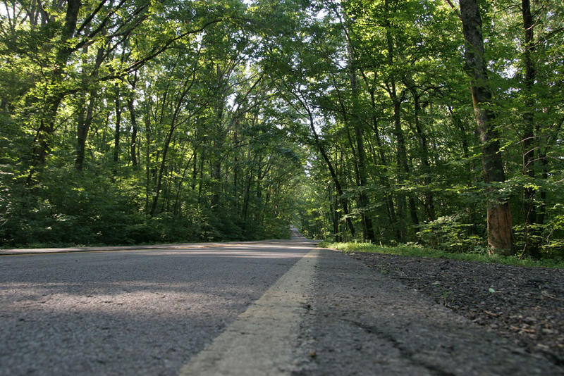 We drove on Arkansas Highway 23, better known as the Pig Trail for its corkscrew meanderings though the Ozark National Forest. Even in the Oddy, it was a blast to drive.